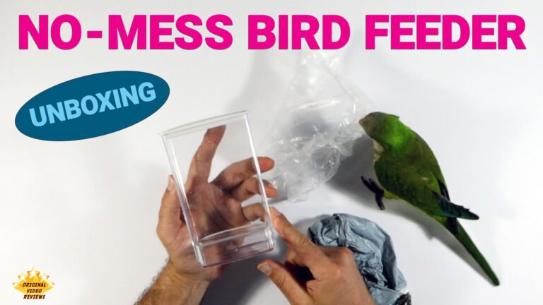 No-Mess Bird Feeder – Model #1