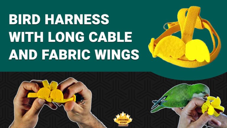 Bird Harness with an Adjustable Leash and Angel Wings