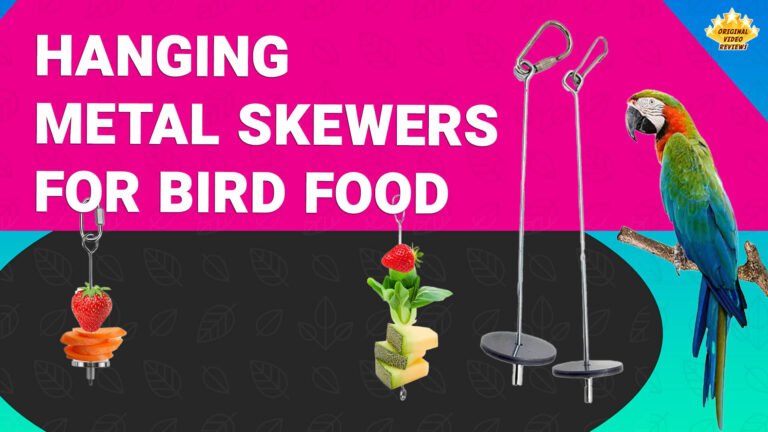 Bird Food Hanging Metal Skewer