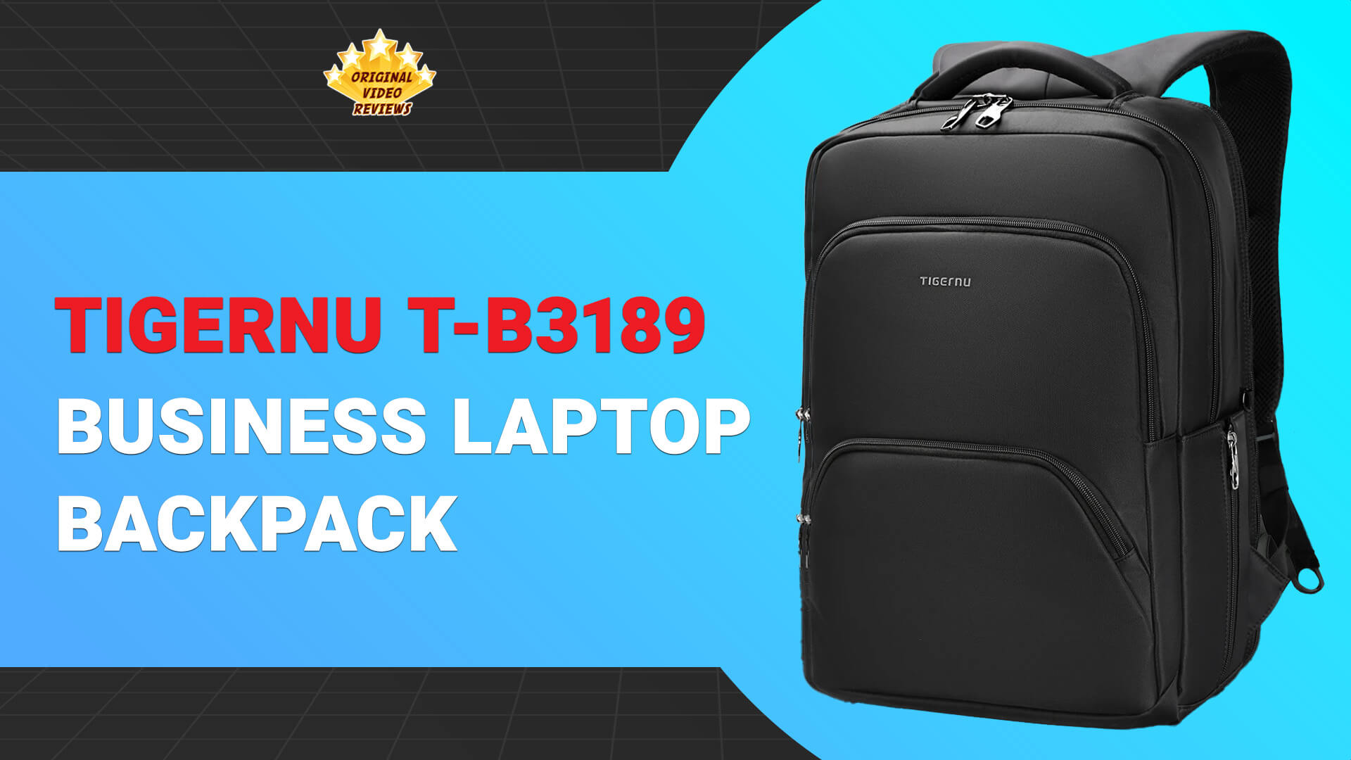 Tigernu T-B3189 Business Laptop Backpack Review