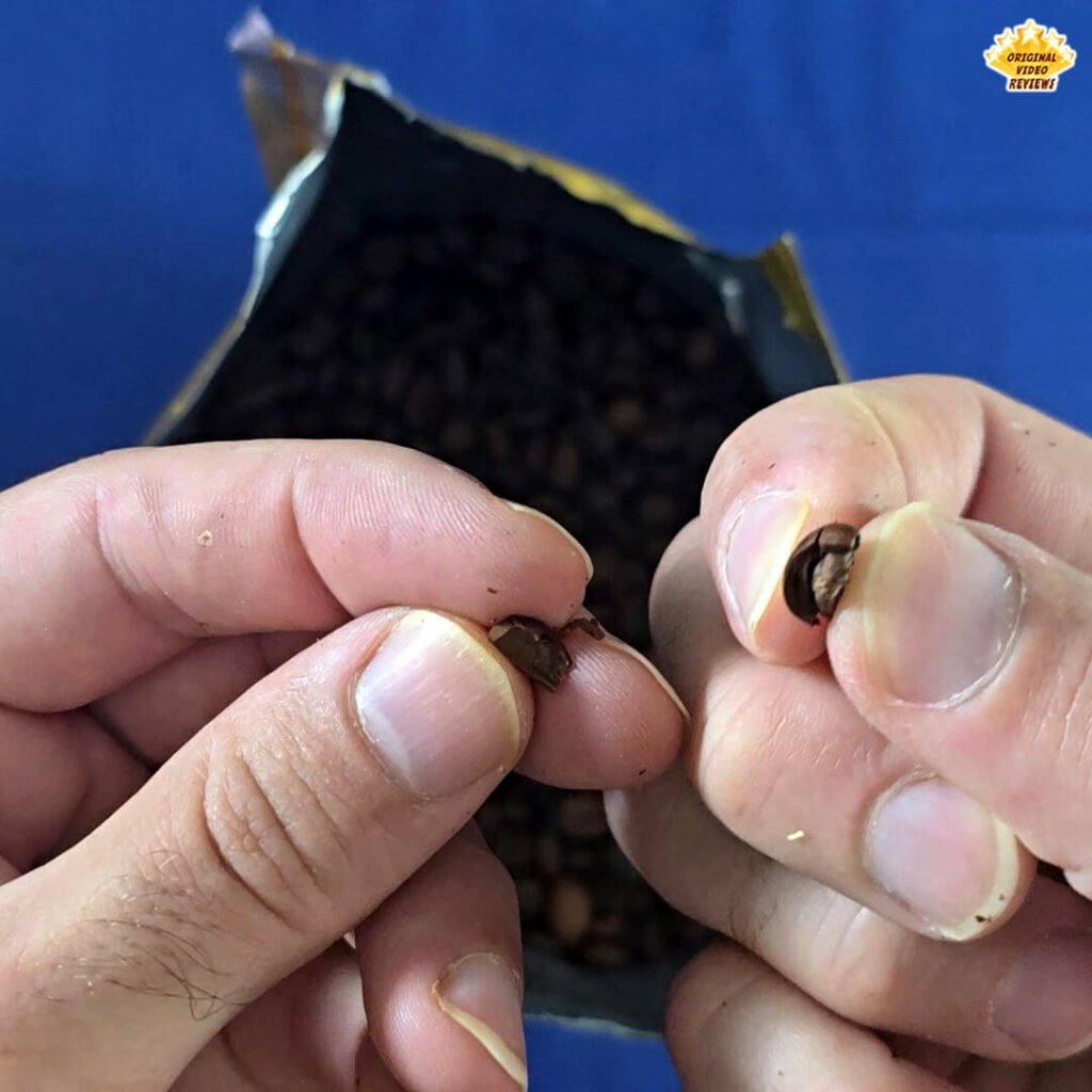 The OVR Guy breaking a Bristot Classico Oro coffee bean in half, showing its firm yet crisp texture - not over-roasted, with a fresh interior. The open coffee bag appears in the background.