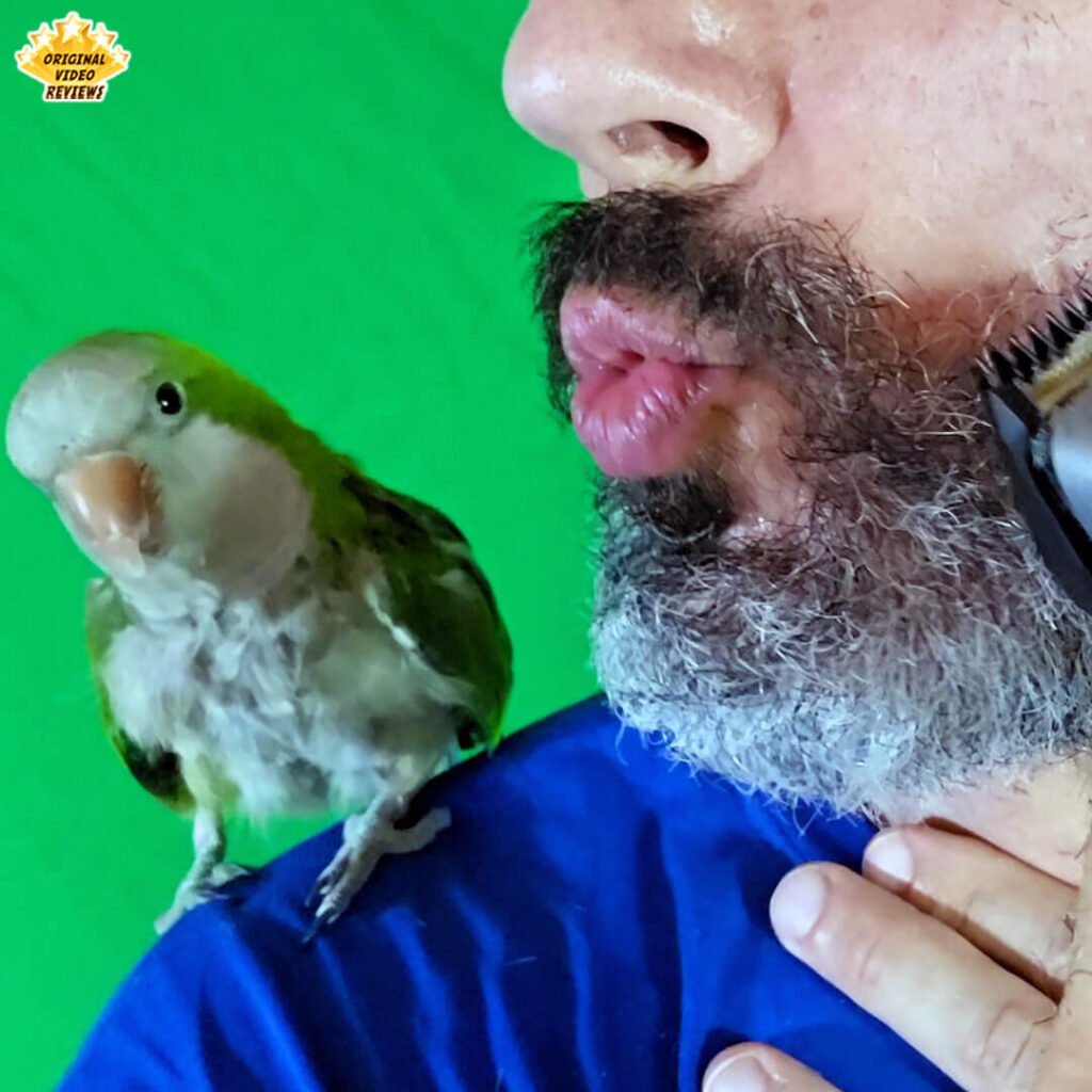 The OVR Guy trimming his beard with the Philips Norelco Multigroom 5000 (MG5970/49) while the OVR Bird sits on his shoulder.