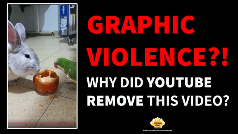 YouTube Moderation Fail: Harmless Pet Video Flagged for ‘Graphic Violence