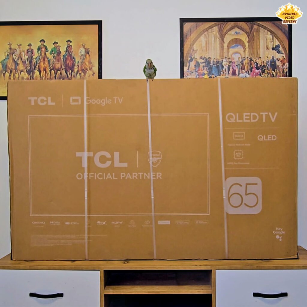 The OVR Bird perched on top of the sealed TCL P89K 65-inch 4K QLED TV retail box before the unboxing process by Original Video Reviews.