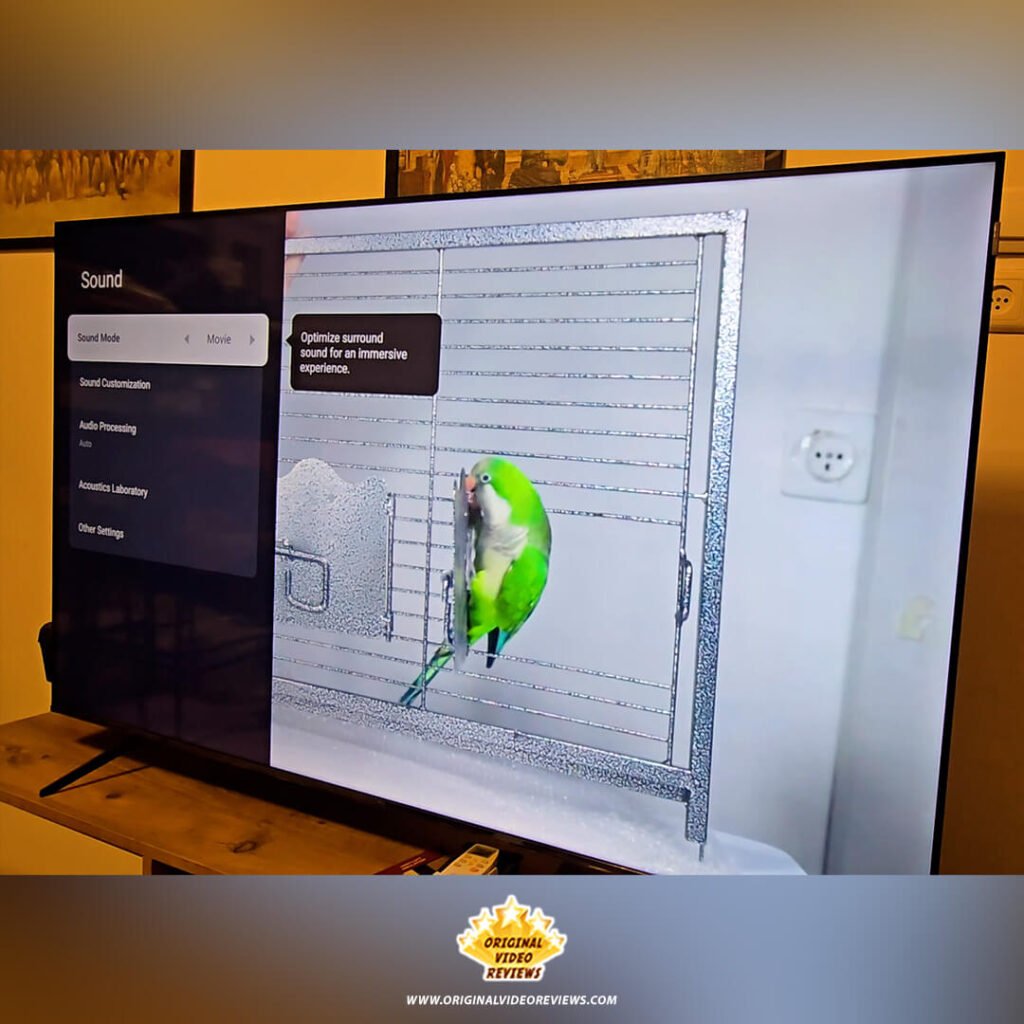 The TCL P89K 65-inch 4K QLED TV screen playing a video of The OVR Bird (a Quaker Parrot) from the OVR PETS channel, with the Sound settings menu set to "Movie" mode during an audio test by Original Video Reviews.
