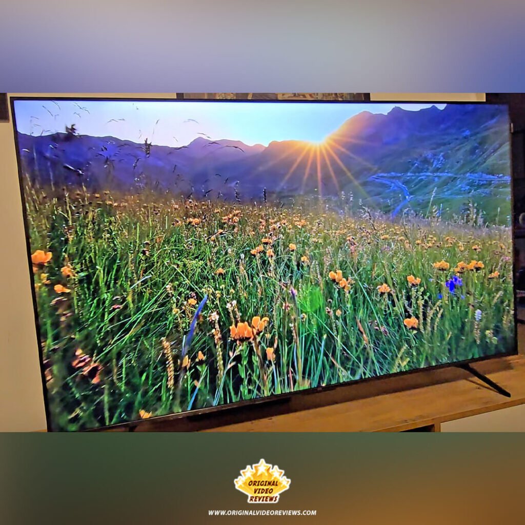 A high-dynamic-range (HDR) 4K nature video of a wildflower meadow at sunrise displayed on the TCL P89K 65-inch QLED TV, demonstrating peak brightness and color accuracy, from a review by Original Video Reviews.